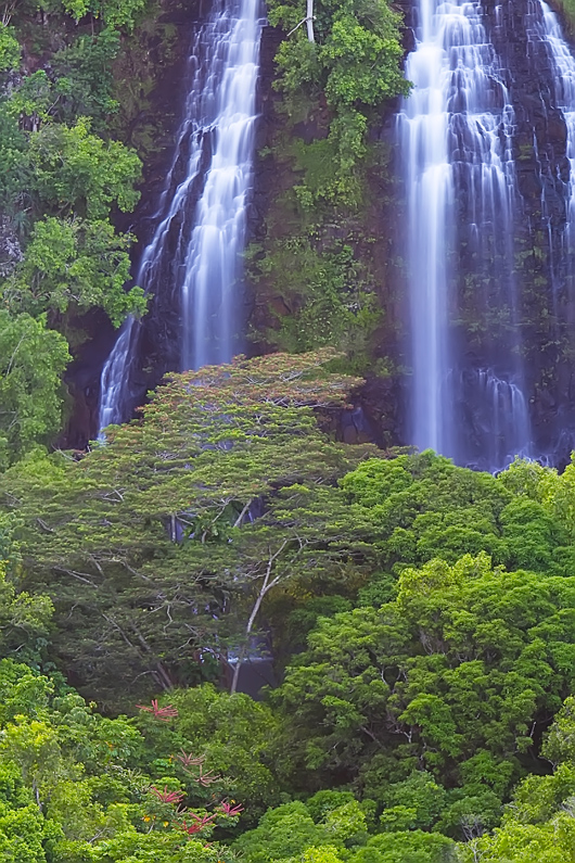 Opaeka'a Falls - Kauai